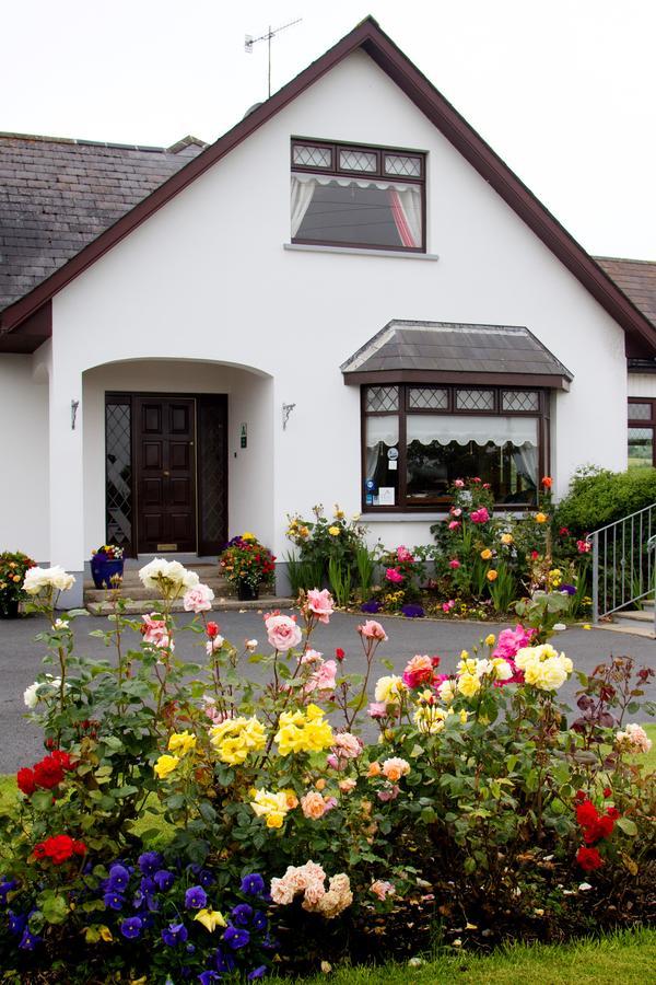 Mourneview B & B Carlingford Exteriör bild